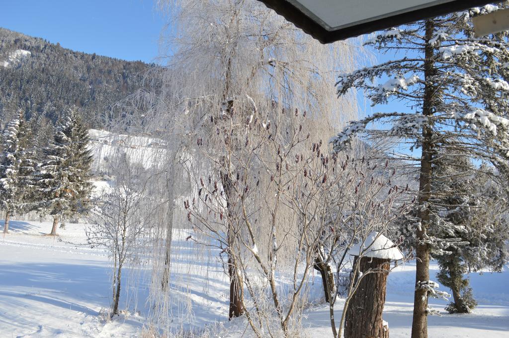 Chalet Kammleitn Хермагор Экстерьер фото